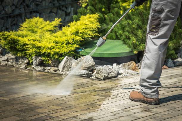 Best Warehouse Cleaning  in Rapid City, MI