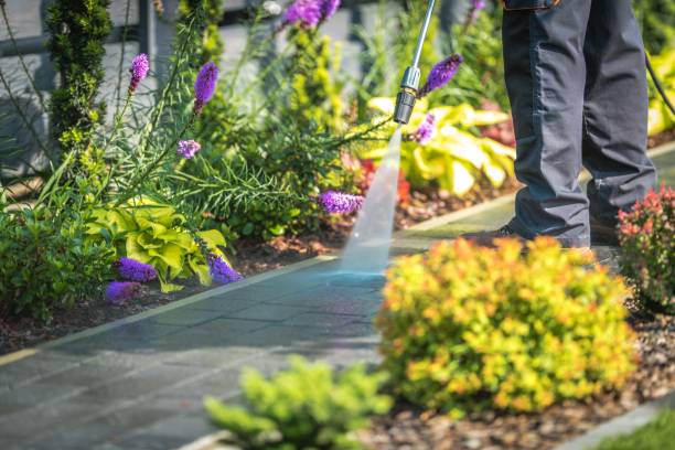 Professional Pressure Washing in Rapid City, MI